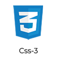 css 3 logo