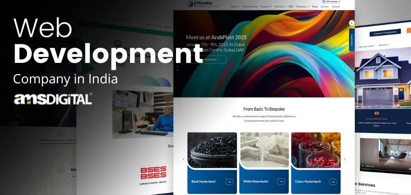 Web Development Company in India